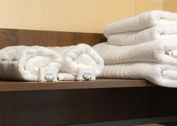 Apartamentai Auksines Bangos - Free Parking - Easy Check-in Apartment *